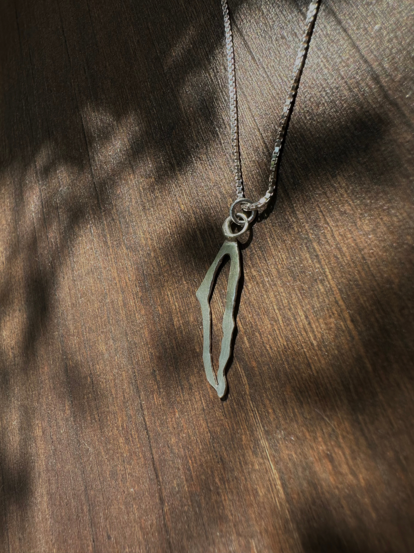 שרשרת הומלנד, אין לי ארץ אחרת כסף