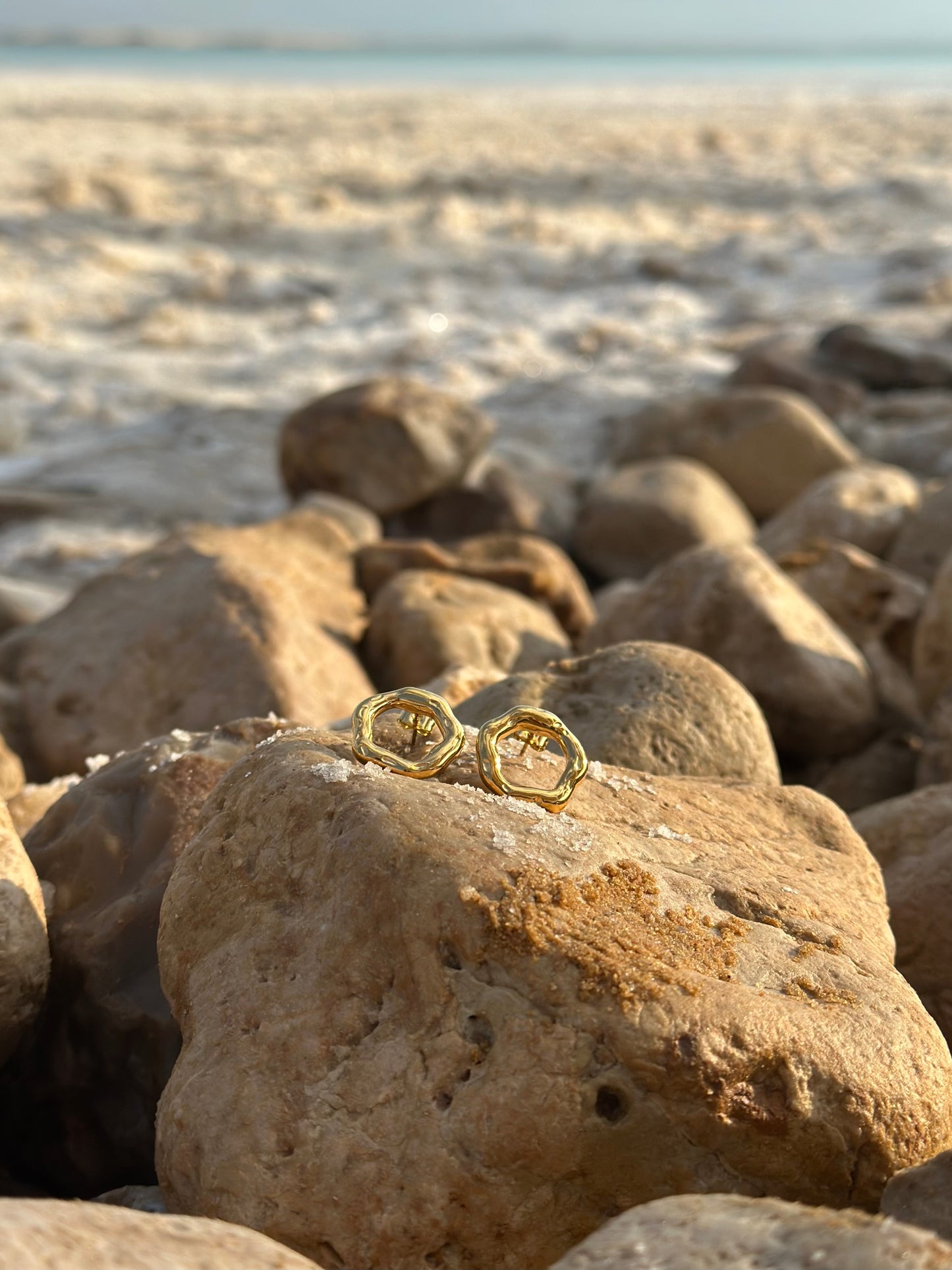 Oasis Earrings 18K Yellow Gold