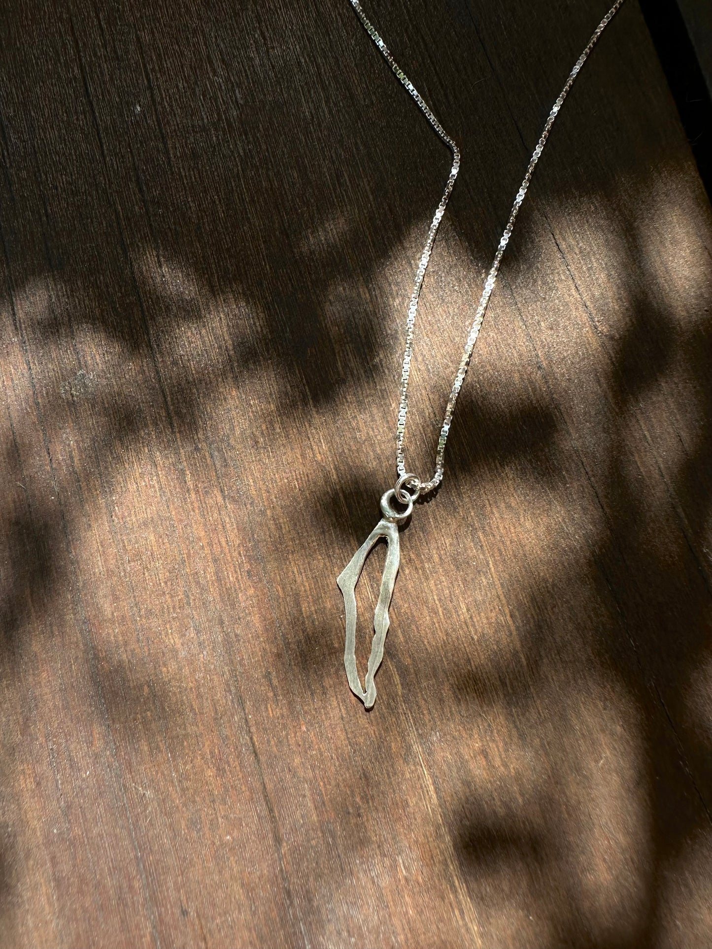 שרשרת הומלנד, אין לי ארץ אחרת כסף