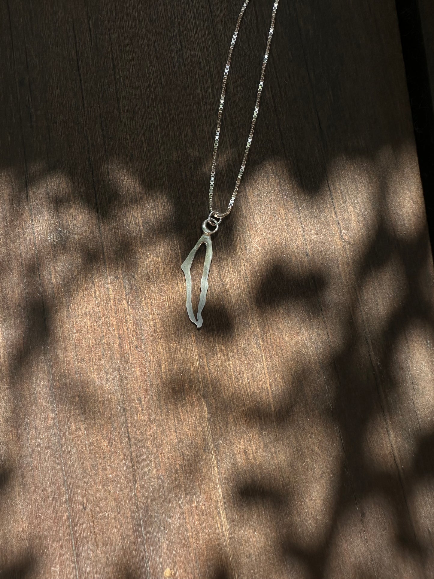 שרשרת הומלנד, אין לי ארץ אחרת כסף