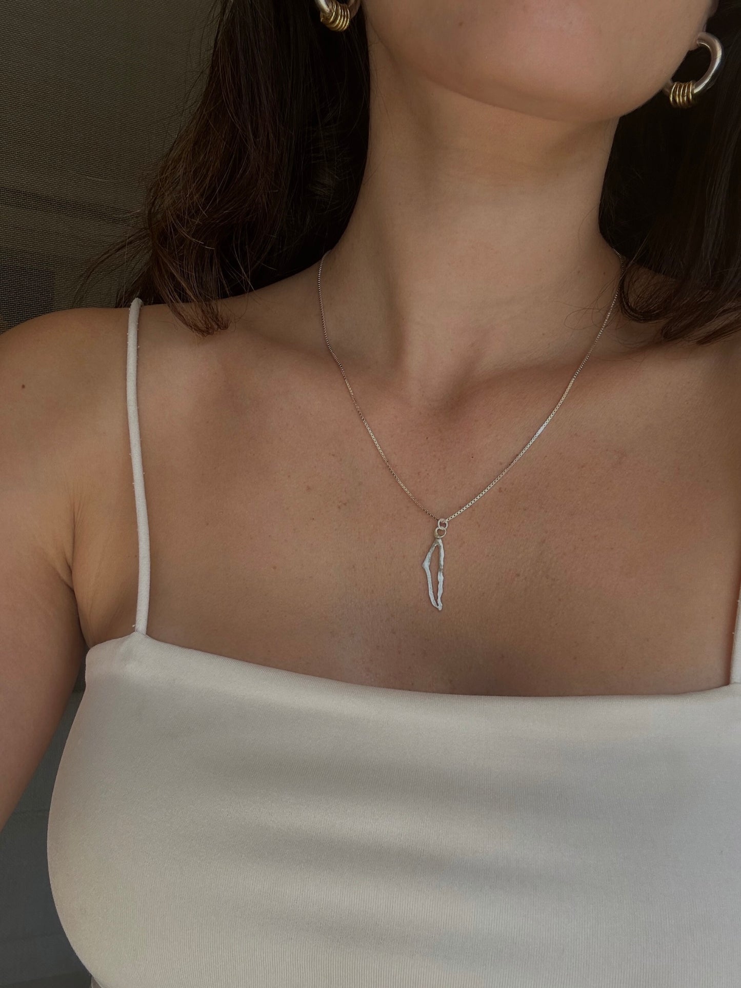 שרשרת הומלנד, אין לי ארץ אחרת כסף