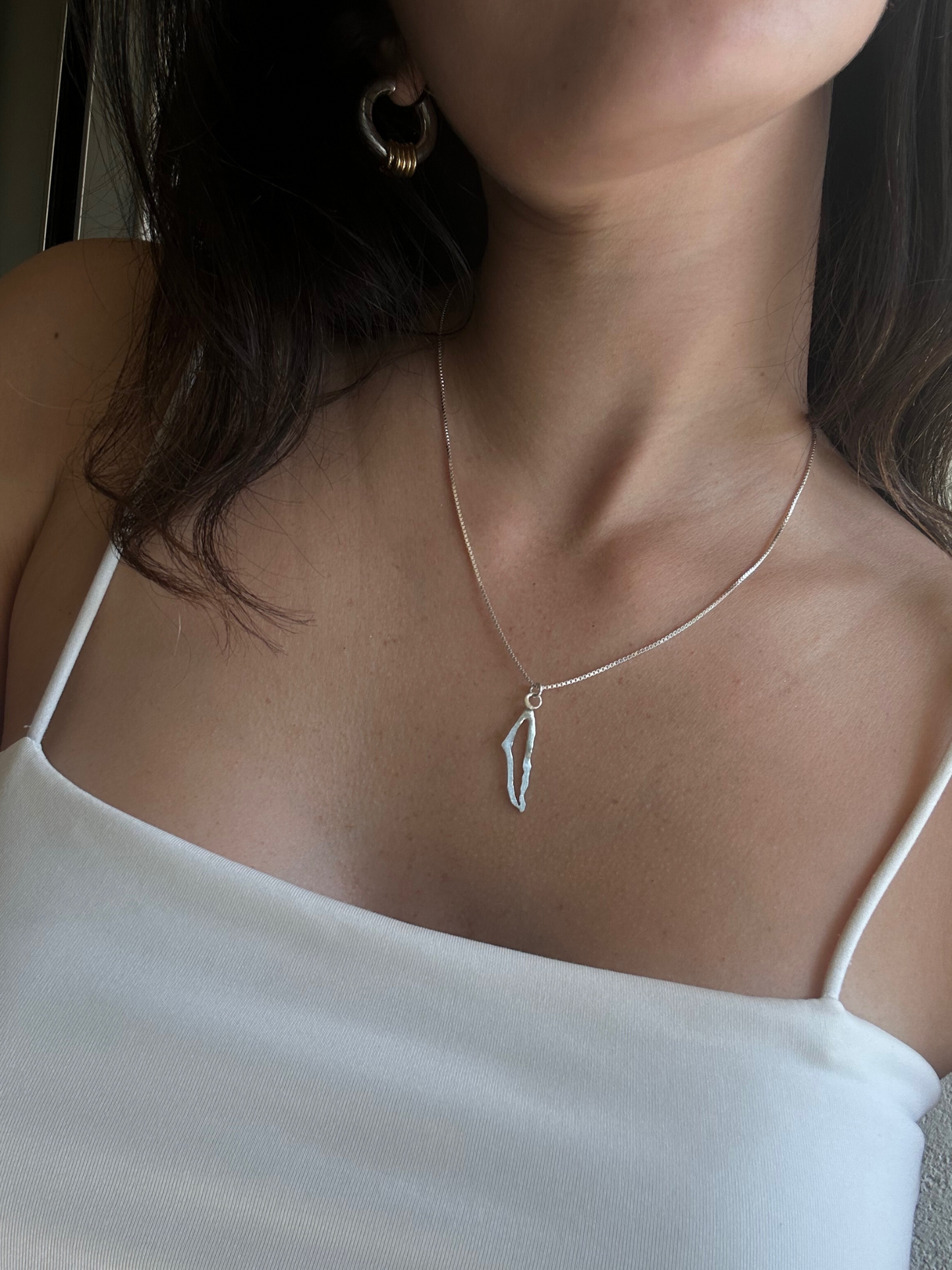 שרשרת הומלנד, אין לי ארץ אחרת כסף